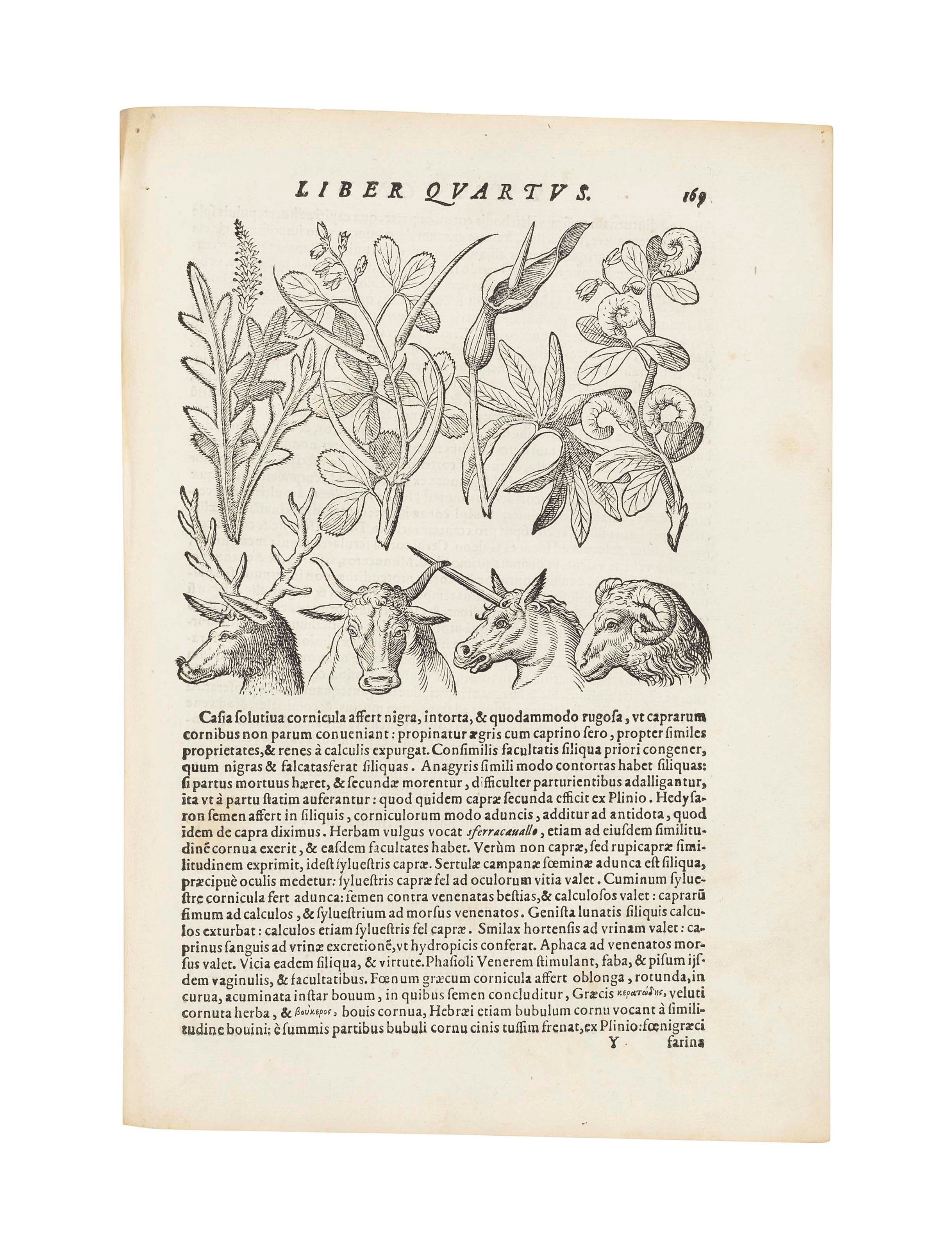 DELLA PORTA, Giovan Battista (c.1538-1615). Phytognomonica … Octo libris contenta. In quibus noua, facillimaque affertur methodus, qua plantarum, animalium, metallorum, rerum denique. Naples: Horatius Salvianus, 1588.