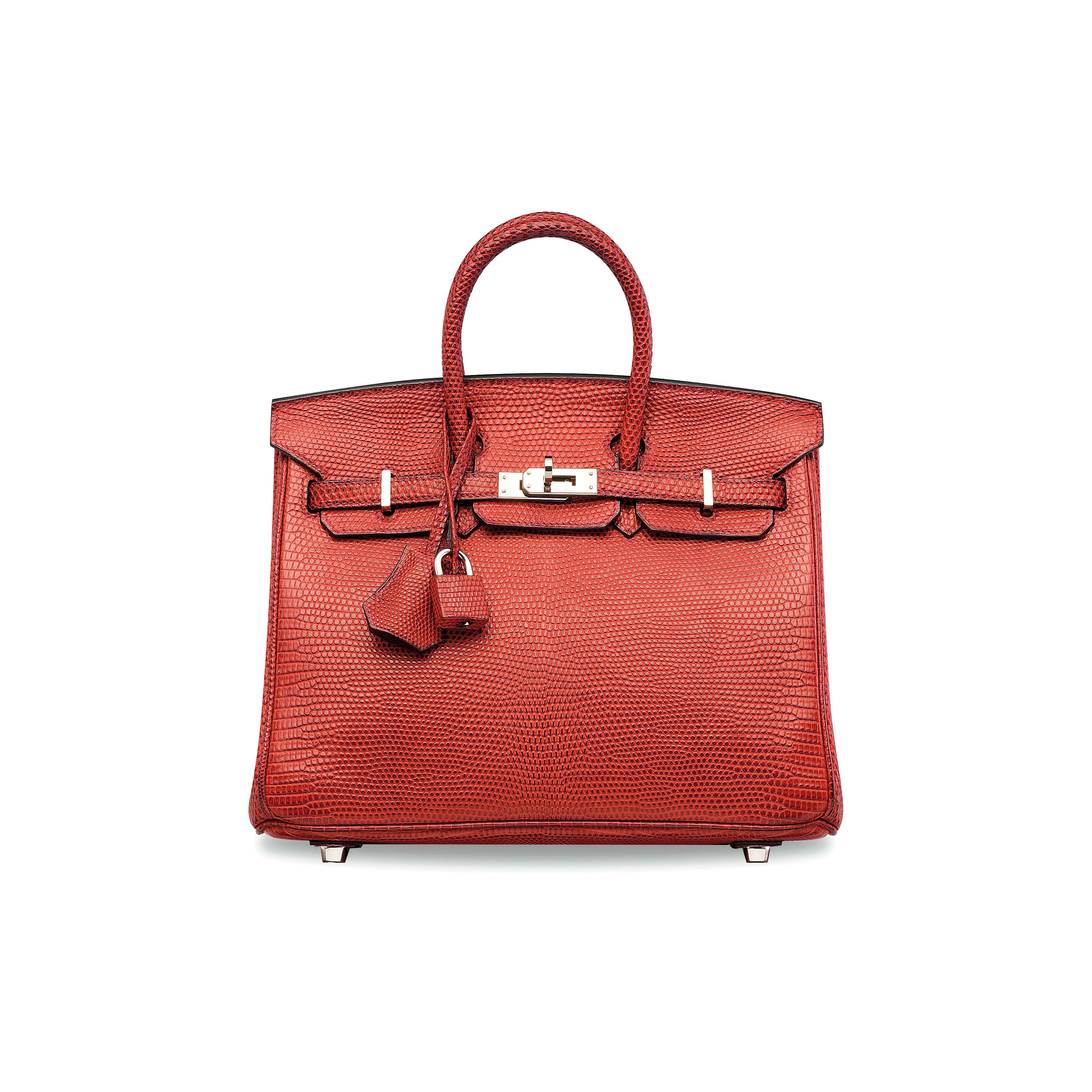 A MATTE ROUGE MOYEN SALVATOR LIZARD BIRKIN 25 WITH PALLADIUM HARDWARE