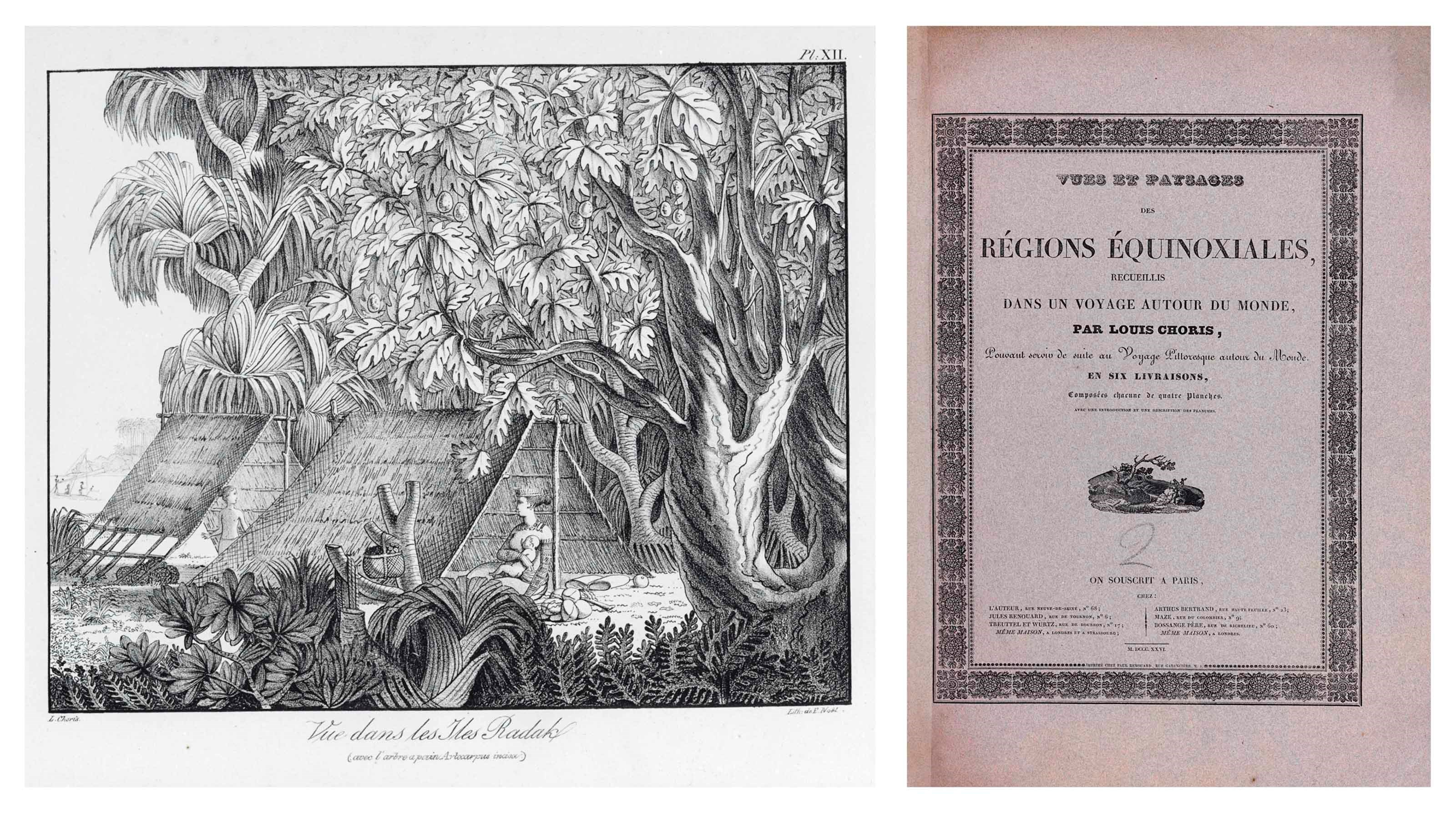 CHORIS, Louis (1795-1828). Vues et paysages des régions équinoxiales recueillis dans un voyage autour du monde (wrapper title). Paris: by the author, and others, 1826.