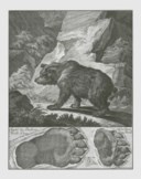 A MEISSEN MODEL OF A BEAR