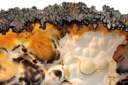 AN AGATE SLICE
