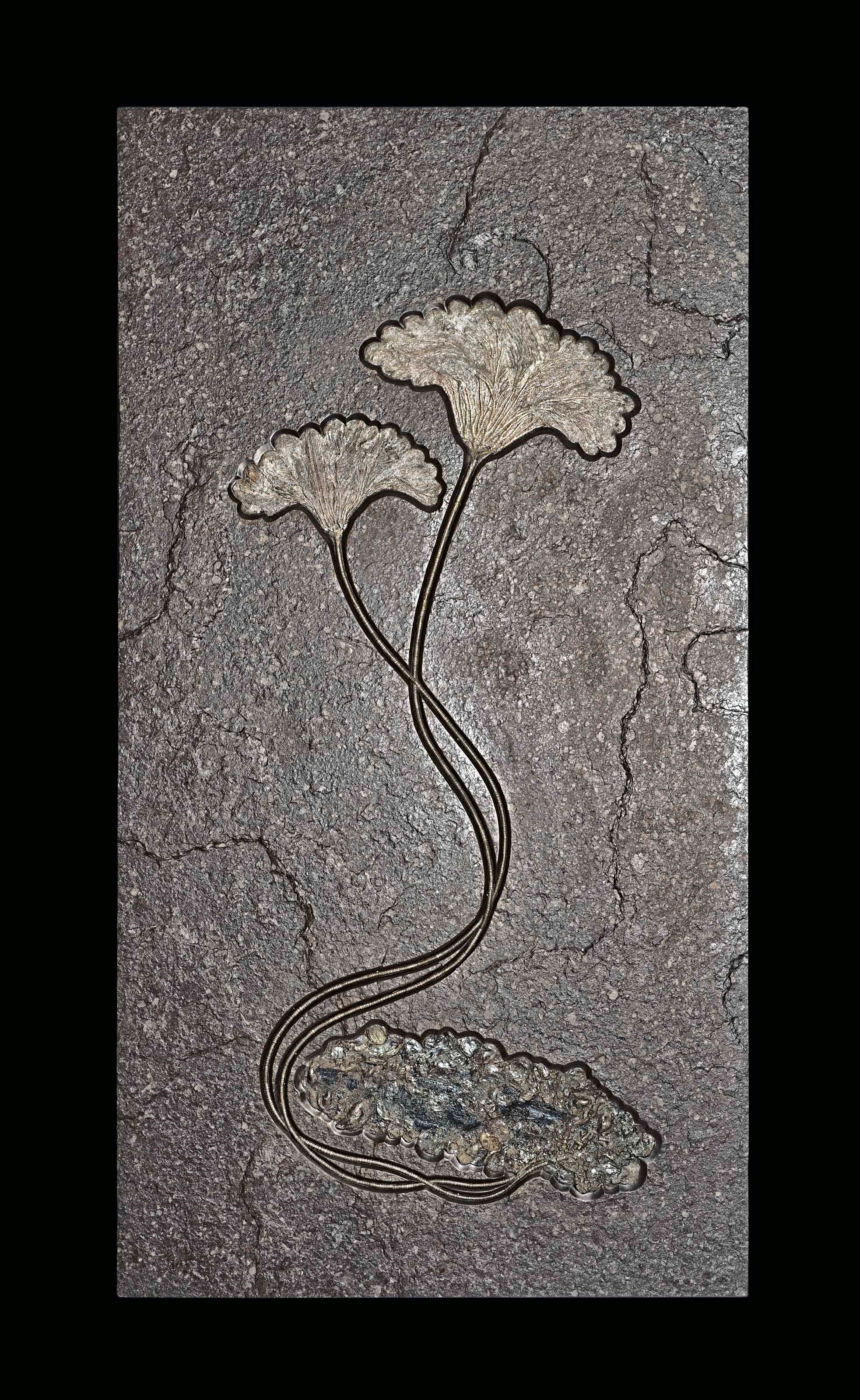 A DOUBLE FOSSIL SEALILY PLAQUE