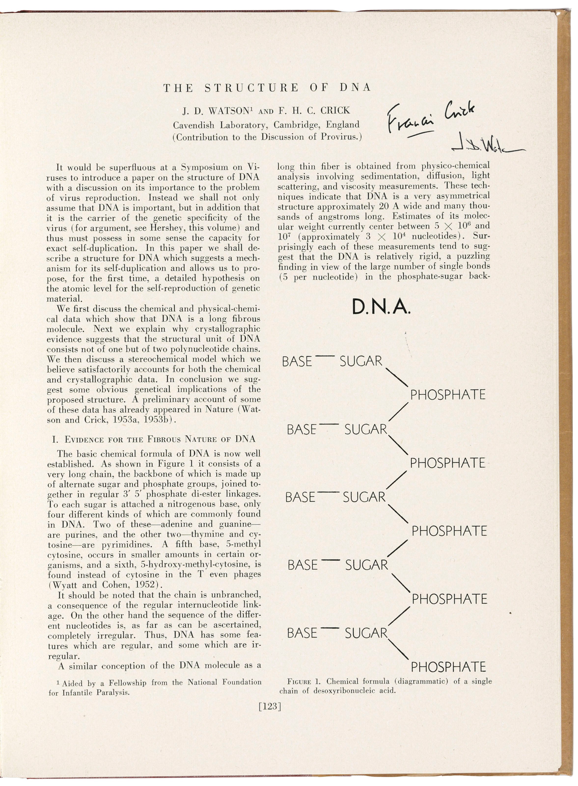 WATSON, James Dewey (b.1928) and Francis Harry Compton CRICK (1916-2004). 'The Structure of DNA.' In Cold Spring Harbor Symposia on Quantitative Biology, Volume XVIII, pp. 123-131. Cold Spring Harbor, NY: 1953