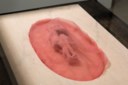 Louise Bourgeois (1911-2010)
