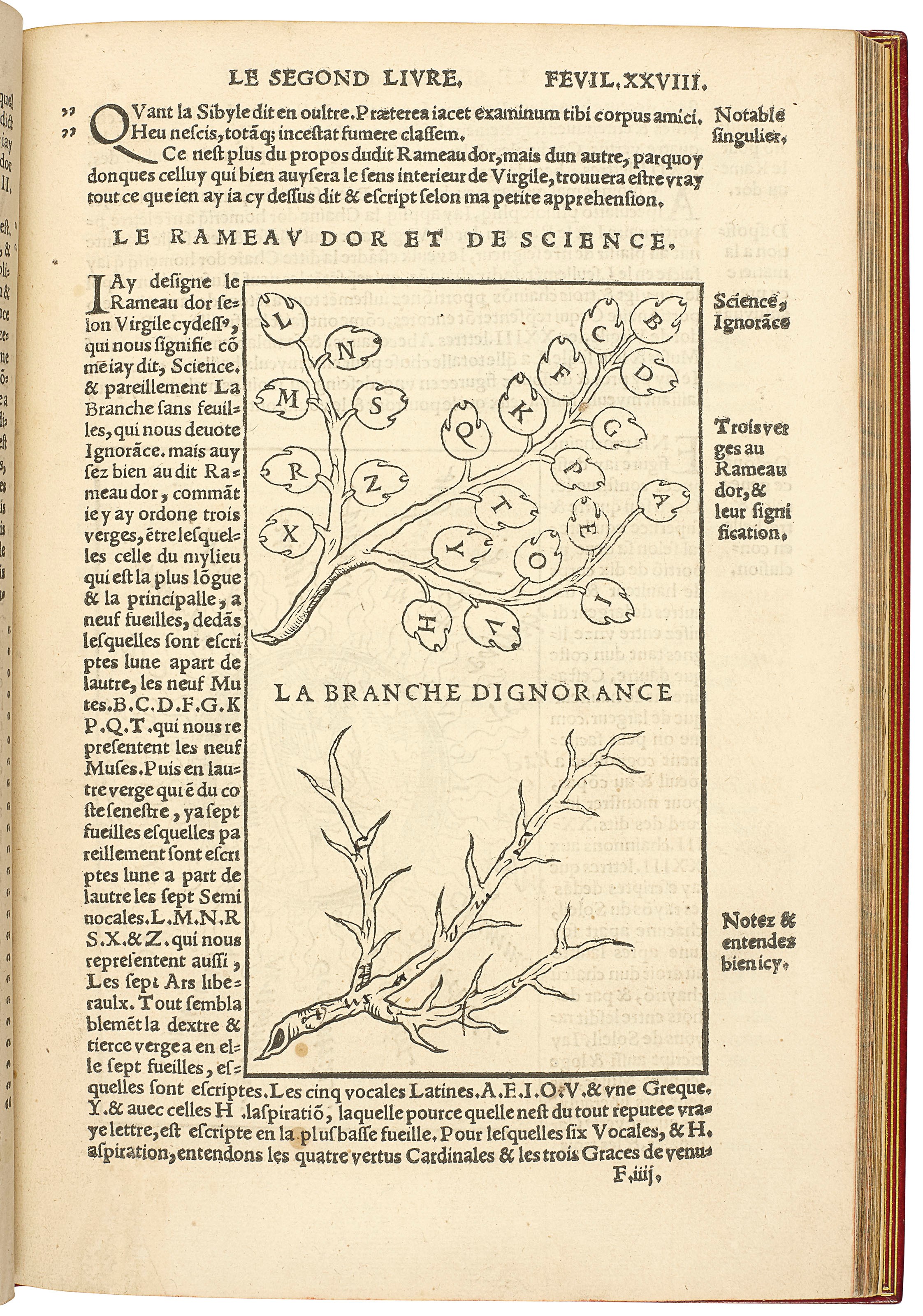 TORY, Geoffroy (1480 – 1533). Champfleury, au quel est contenu lart & science de la deue & vraye proportion des lettres attiques… selon le Corps & Visage humain. Paris : Geoffroy Tory et Gilles Gourmont, 28 avril 1529.
