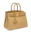 A MATTE PAILLE POROSUS CROCODILE BIRKIN 35 WITH GOLD HARDWARE