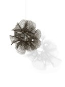 Ruth Asawa (1926-2013)