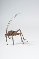 MITSUTA HARUO (B. 1980)