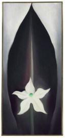 GEORGIA O'KEEFFE (1887-1986)