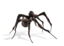 LOUISE BOURGEOIS (1911-2010)