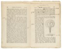 DARWIN, Charles (1809-1882)