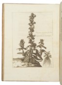 DODART, Denis (1634-1707)