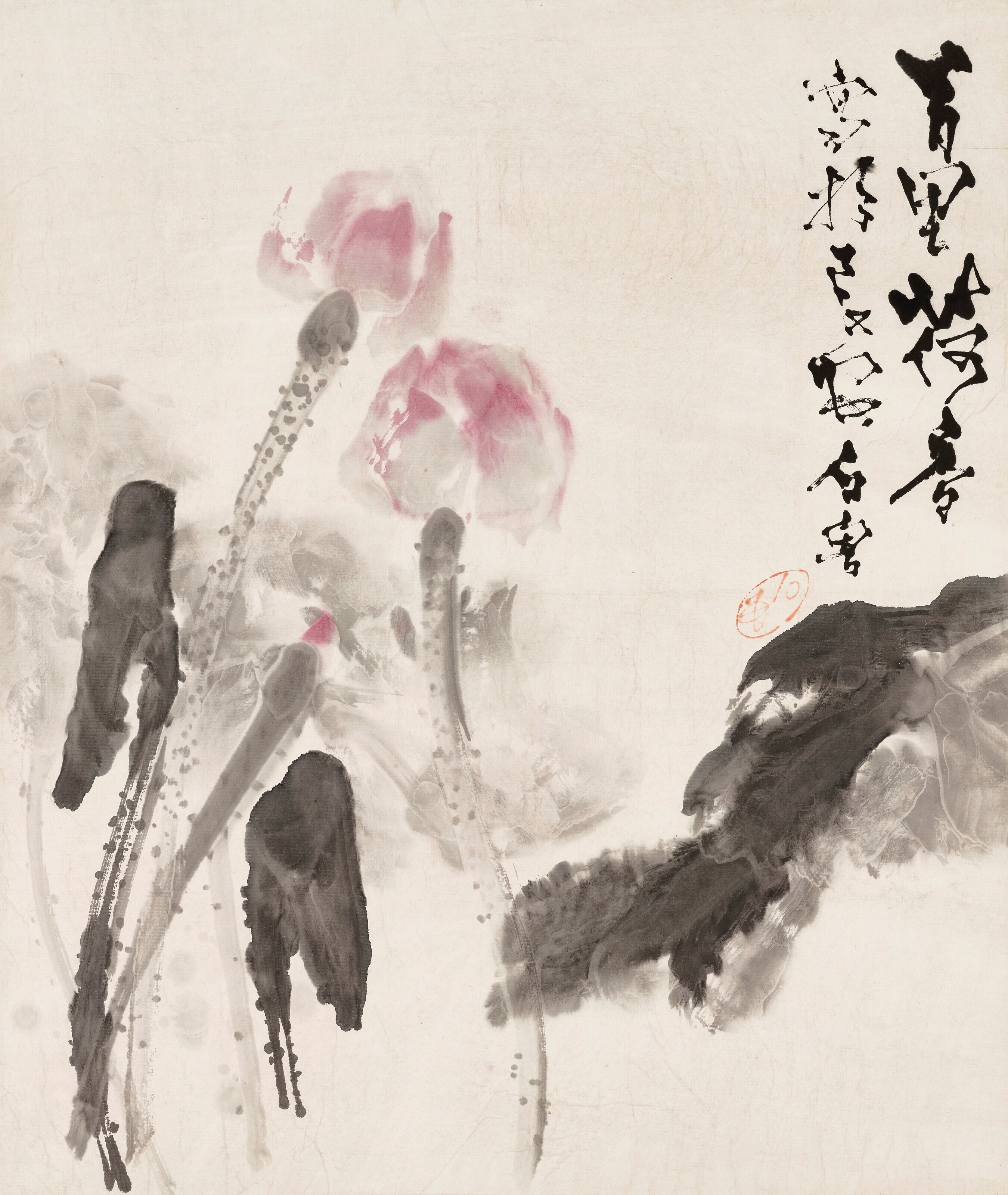 石魯