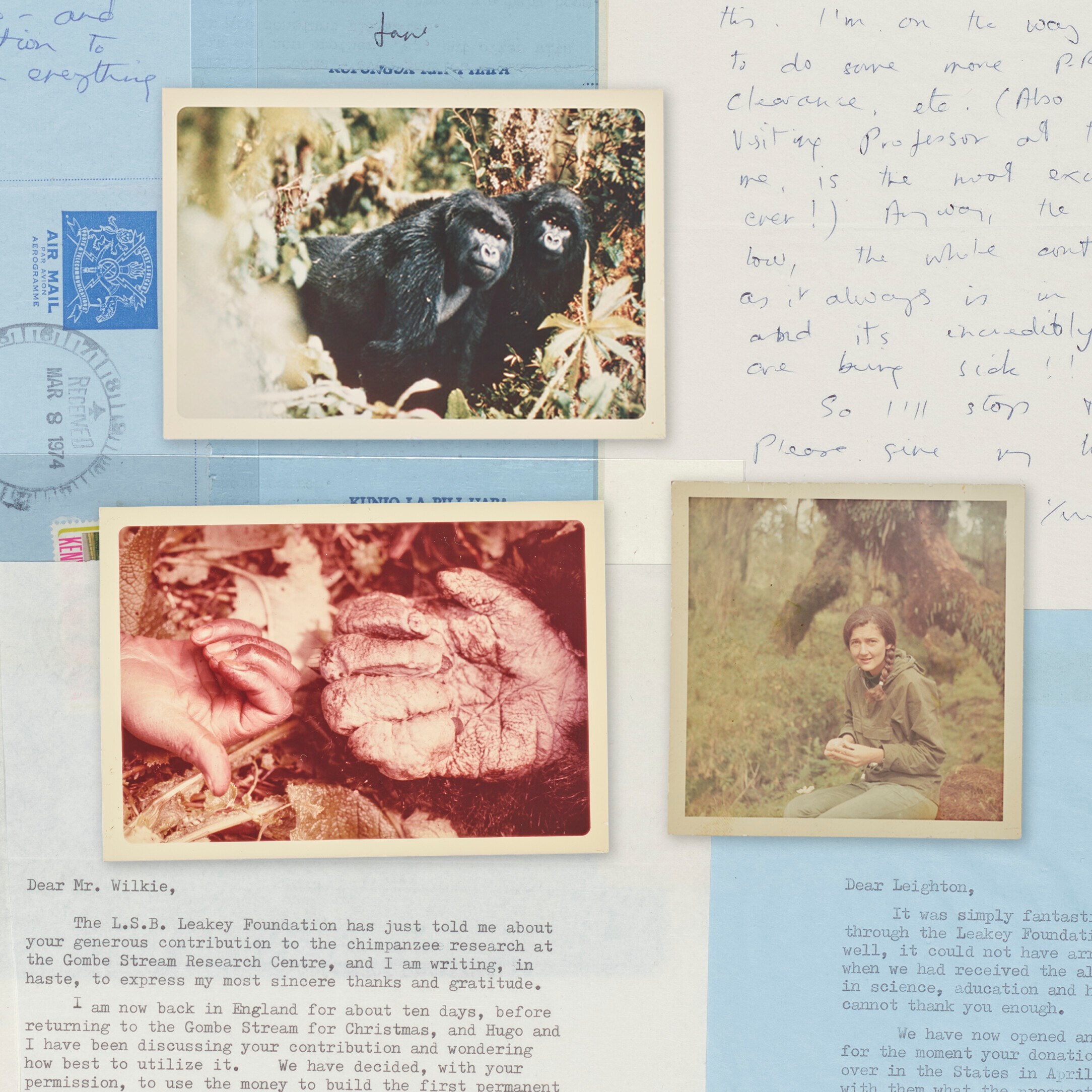 CORRESPONDENCE FROM LOUIS LEAKEY, DIAN FOSSEY, AND JANE GOODALL