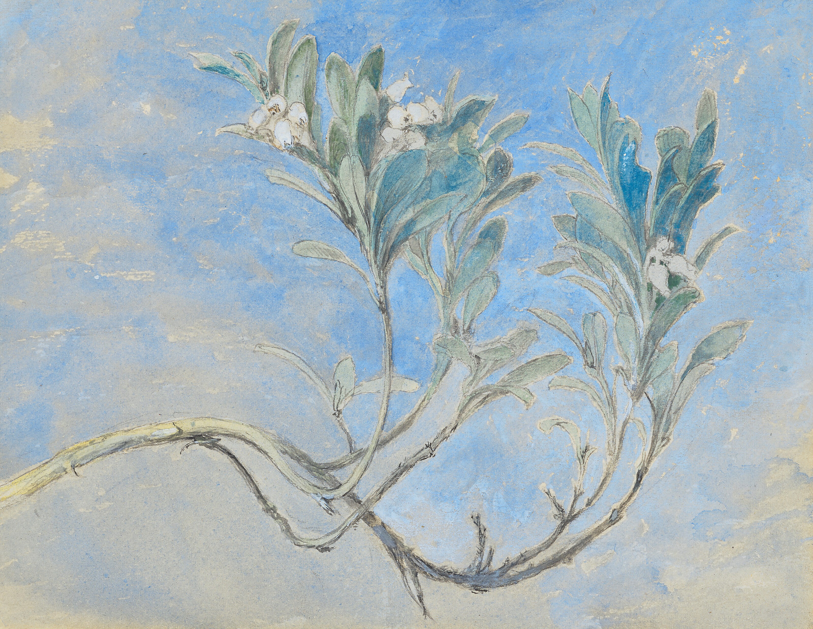 JOHN RUSKIN (1819-1900)