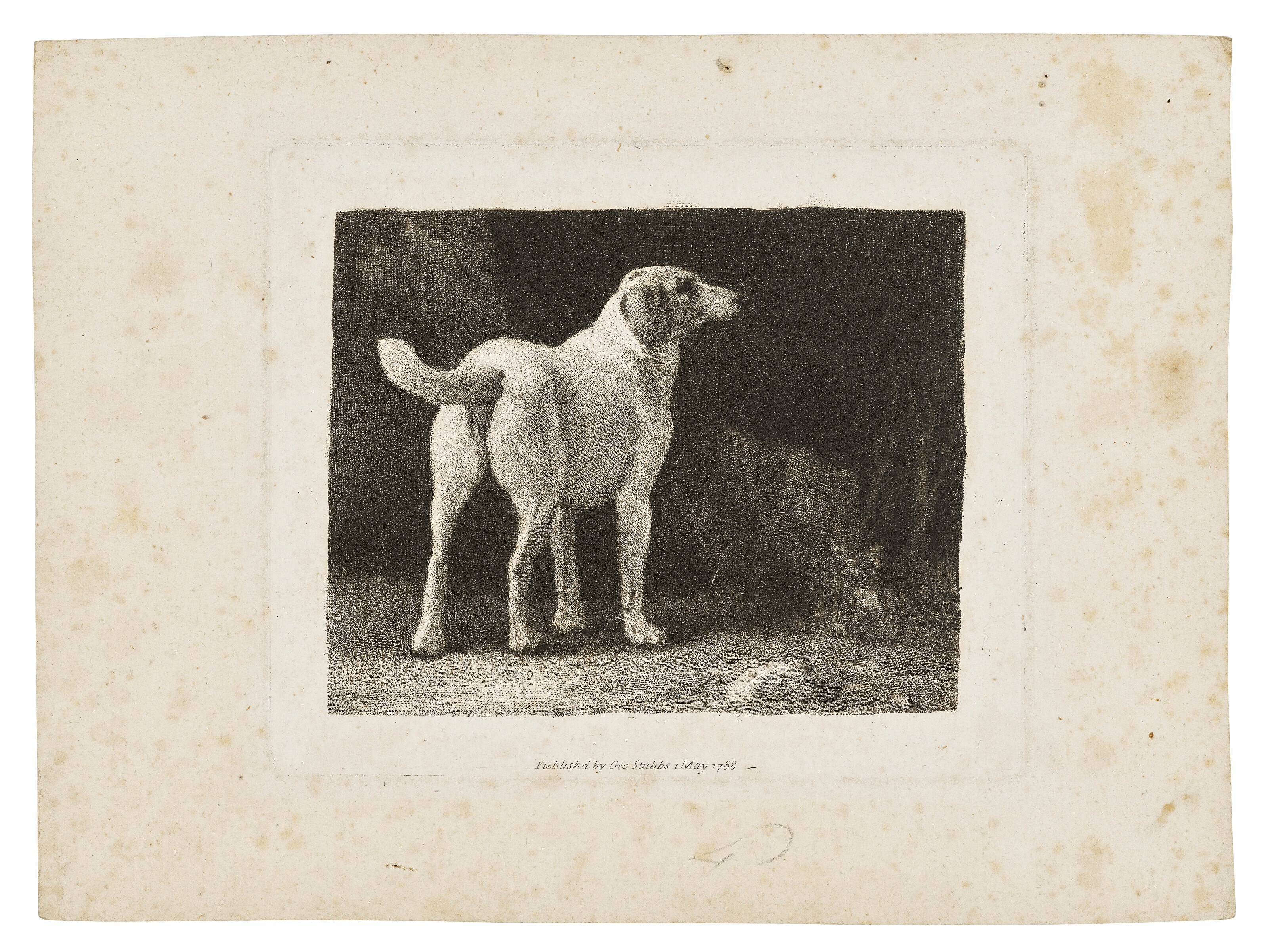 GEORGE STUBBS (1724-1806)