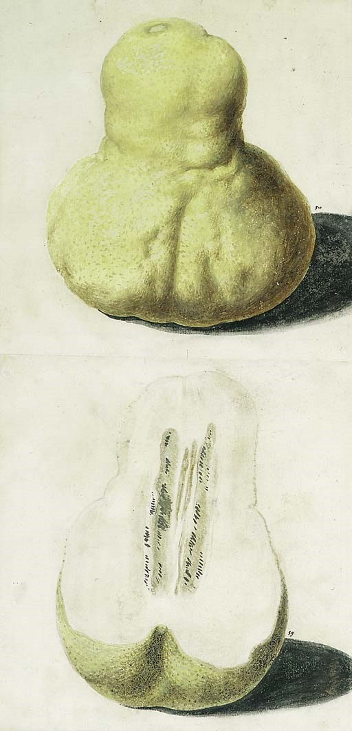 Vincenzo Leonardi (active 1621-46)