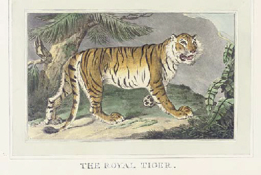 Charles Catton: upcoming auctions, appraisal insights and free art ...