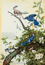 Blue heron press walton ford #9