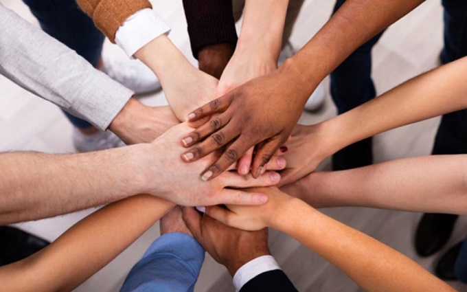 Diversity