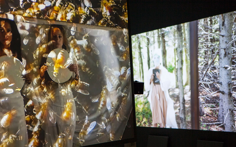 Venice Biennale Blog
