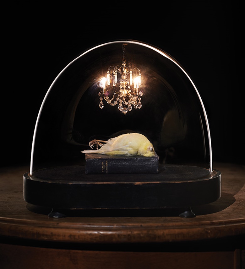Polly Morgan, The Rest Is Easy, 2008. Glass, wood, leather, taxidermy, crystal, paper, electrics. 10 x 9 x 6 in (25 x 23 x 15 cm). Courtesy of and © Polly Morgan. Photographed by James Pfaff and Sebastian Böttcher