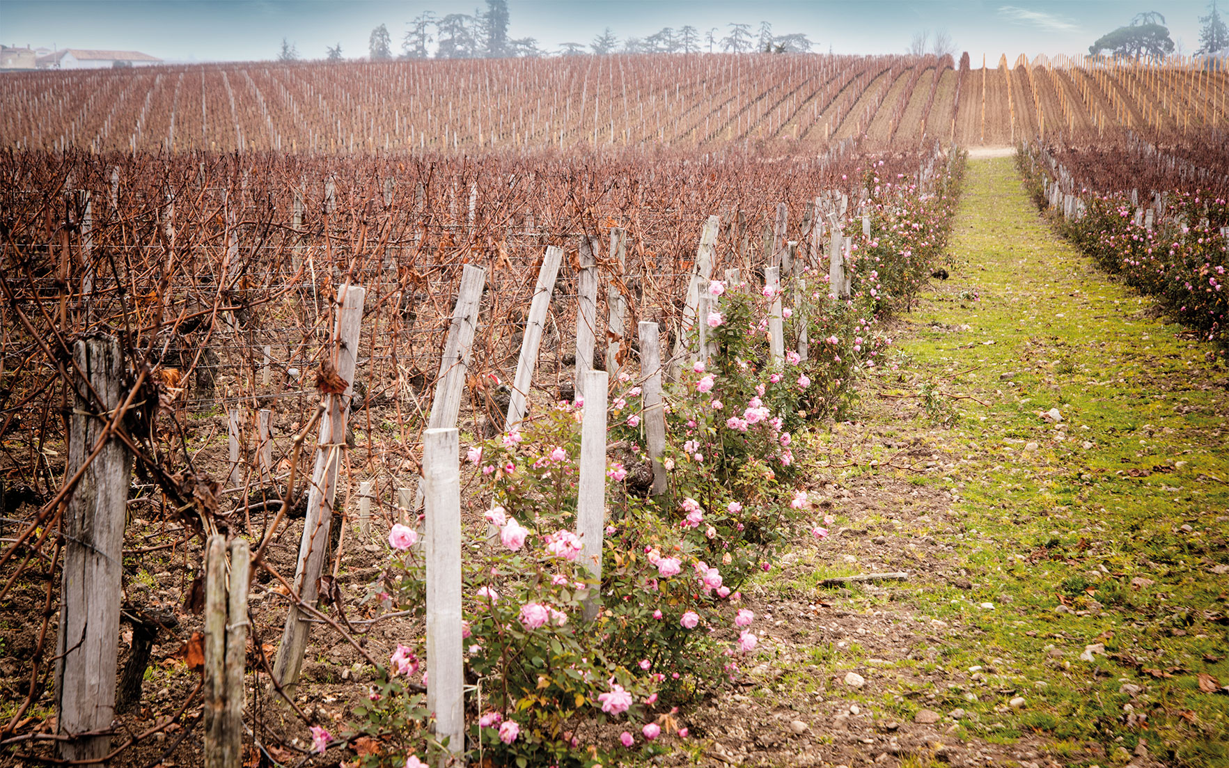 Figeac The inside track