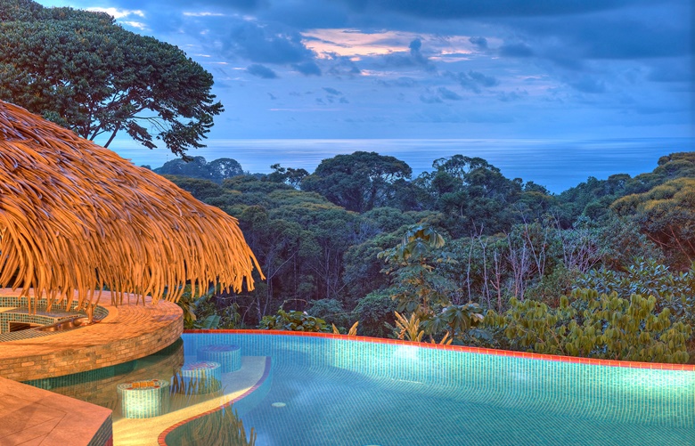 Luxury Living Swimup bars Christie's