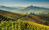 Barolo And Barbaresco Wines An Expert Guide Christie s Barolo And Barbaresco Wines An Expert Guide Christie s