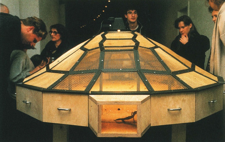 Huang Yong Ping, Theater of the World, 1993. Wood and metal structure with warming lamps, electric cable, insects (spiders, scorpions, crickets, cockroaches, black beetles, stick insects, centipedes), lizards, toads, and snakes, 150 x 270 x 160 cm. © Huang Yong Ping