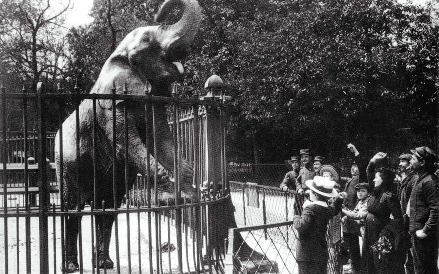 Rembrandt Bugatti’s ‘Rachel’ at the Jardin des Plantes, Paris, circa 1903