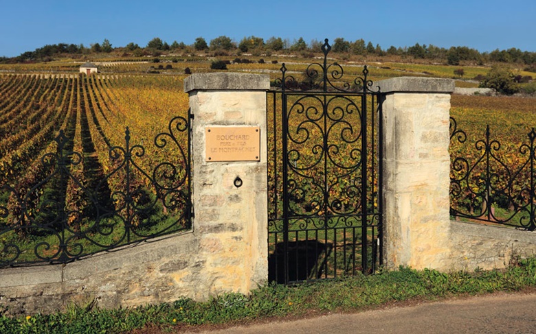 Founded in 1731, Bouchard Père et Fils is one of the oldest wine estates in Burgundy