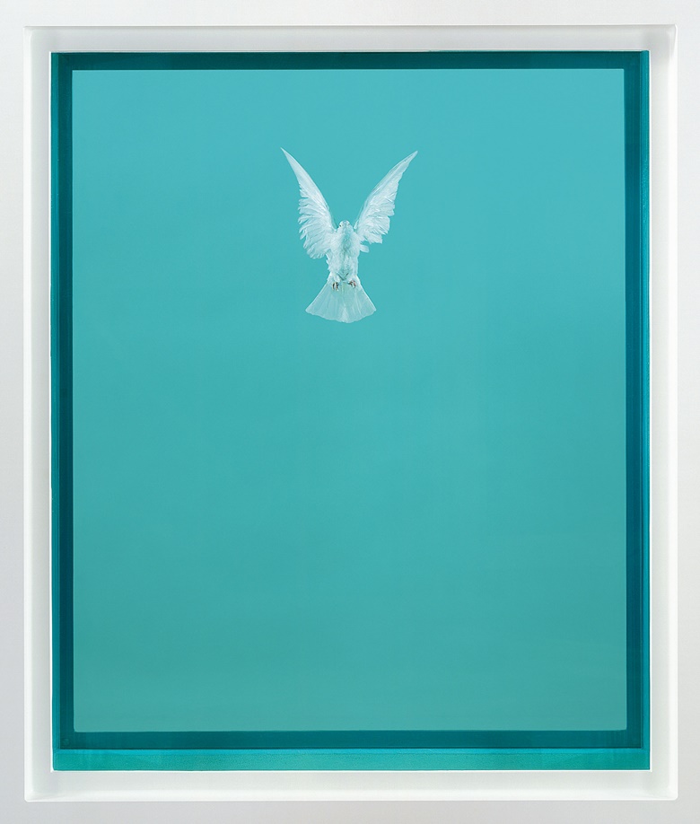 Damien Hirst, The Incomplete Truth, 2006. Glass, painted aluminium, silicone, acrylic, stainless steel, dove and formaldehyde solution. 87 x 69 x 29⅛ in (222 x 176 x 74 cm). This work is from an edition of three, plus one artist’s proof plus one HC. Offered in The George Michael Collection on 14 March at Christie’s London. Photographed by Prudence Cuming Associates. © Damien Hirst