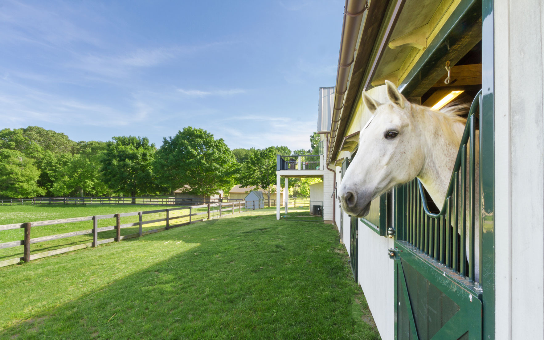 Luxury Living The Equestrian Lifestyle Christie's