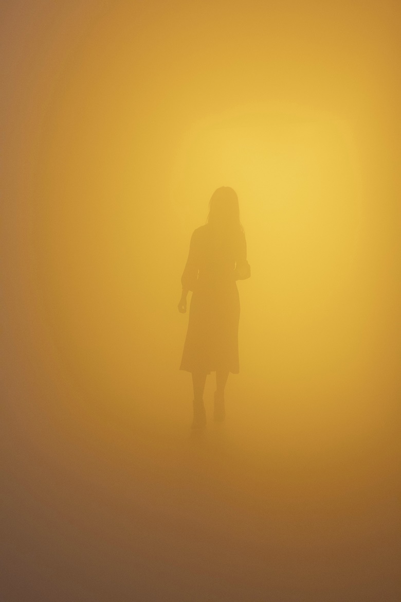奥拉维尔·埃利亚松，《盲眼路人》，2010年作。荧光灯、单频灯（黄色）、烟雾机、鼓风机、木材、铝材、钢材、织物、塑料薄膜。尺寸不等。
展览现场：泰特现代艺术馆，伦敦，2019年。相片： Anders Sune Berg，由艺术家提供；neugerriemschneider, Berlin; Tanya Bonakdar Gallery, New York  Los Angeles. © 2010 Olafur Eliasson