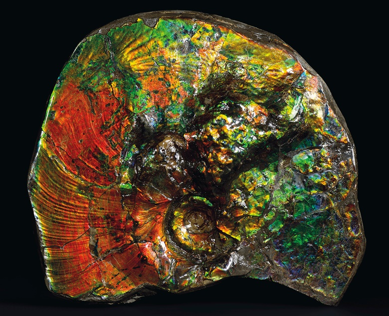 A fine specimen of ammolite, Canada. 9½ x 8¾ x 3 in (24.1 x 22.3 x 7.6 cm). Estimate GBP £2,000-3,000. Offered in Sculpted by Nature Fossils, Minerals and Meteorites, 4-21 May 2020, Online