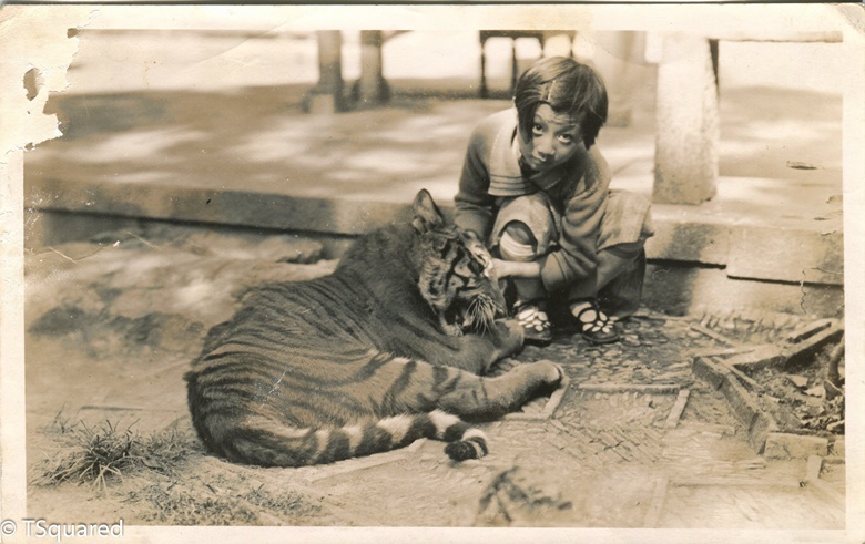 Xinjia with her father’s pet tiger in the Garden of the Master of Nets in Suzhou