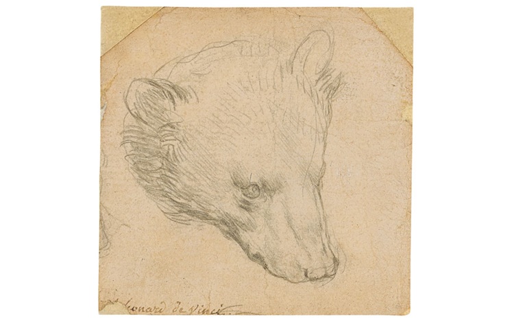 Leonardo’s Head of a Bear (and auction at Christies