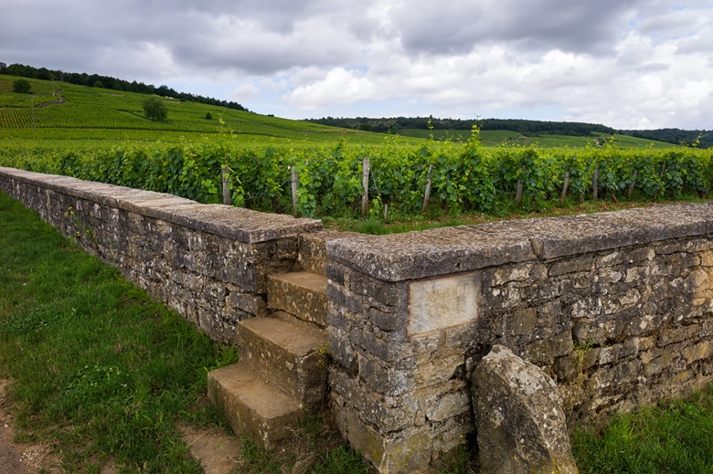 The Romanée-Conti vineyard in Burgundy. Photo Getty Images