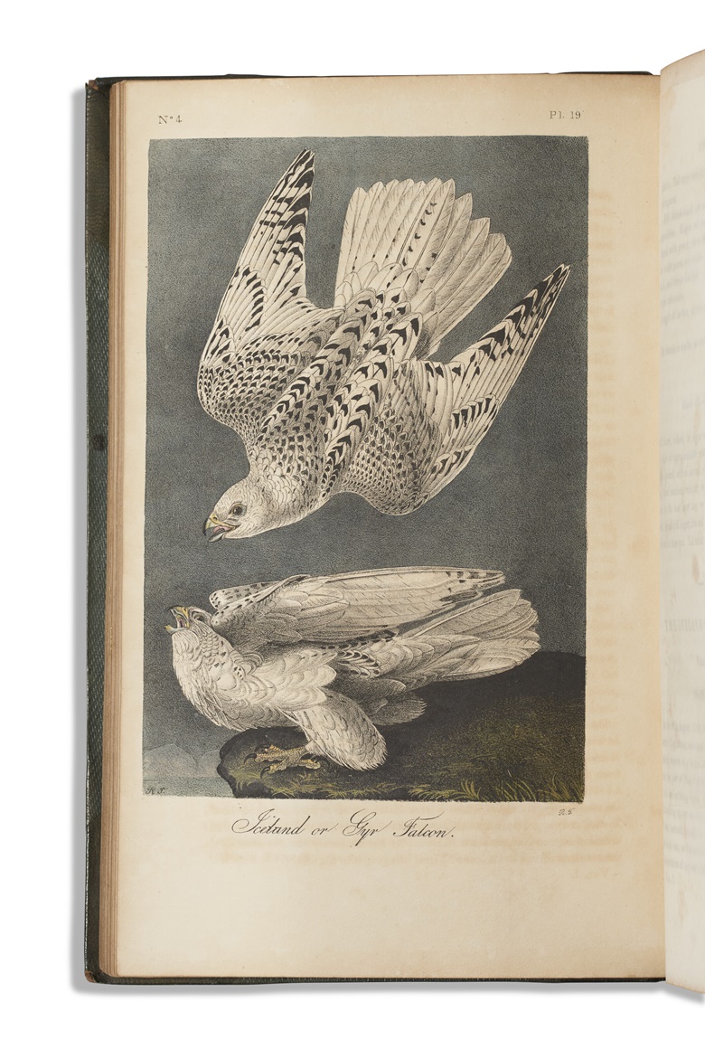 John James Audubon (1785-1851), The Birds of America, 1839-1844. Boston Estes & Lauriat, c. 1880. Sold for $52,920 in The Private Collection of William S. Reese Part Two on 26 May 2022 at Christies New York