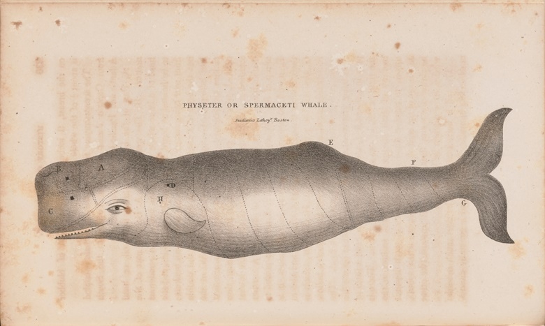 Obed Macy (1762-1844), Herman Melvilles copy of The History of Nantucket; being a Compendious Account of the First Settlement of the Island by the English, together with the Rise and Progress of the Whale Fishery. Boston Hilliard, Gray and Co., 1835. Sold for $56,700 in The Herman Melville Collection of William S. Reese on 14 September 2022 at Christies Online