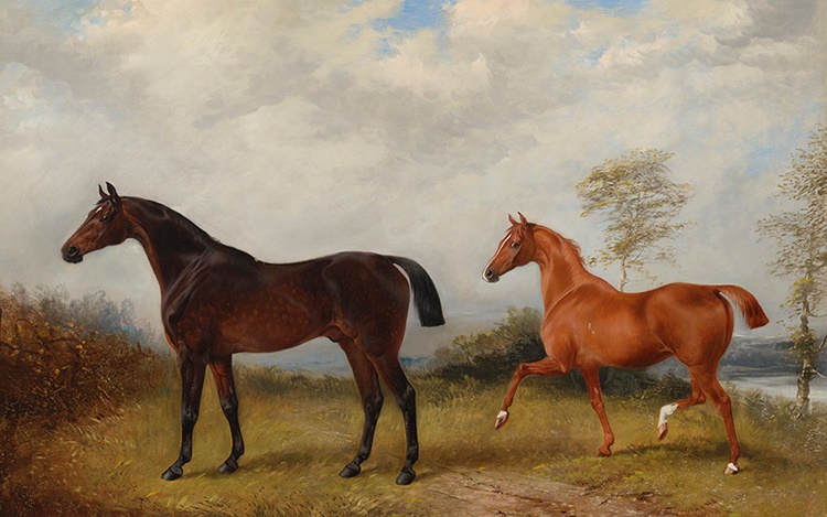 In the field: a collectors gui auction at Christies