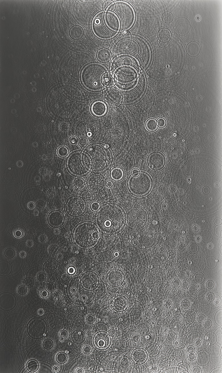 Adam Fuss (b.1961), Untitled, 2007. Gelatin silver print photogram. 203.2 x 120.7 cm (80 x 47½ in). Estimate €30,000-50,000. Offered in Photographies until 8 November at Christie’s  Online © Adam Fuss