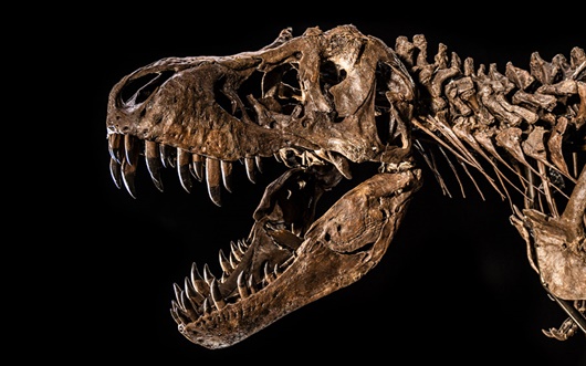 t rex christies