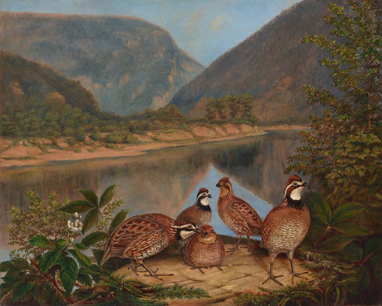 Titian Ramsay Peale (1799-1885), Five Bobwhites at the Delaware Water Gap, 1868. Oil on canvas. 22 x 27 in (55.9 x 68.6 cm). Sold for $163,800 in From Peale to Peto American Masters from the Pollack Collection on 19 January at Christies in New York