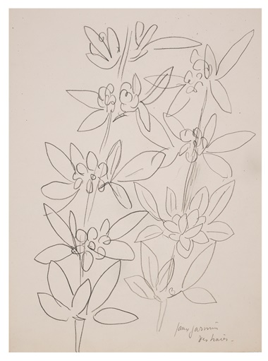 亨利‧马蒂斯(1869-1954)《假茉莉花篱笆（正面）》，约1945年作。铅笔、纸本。 38.4 x 28.5 cm.估价：15,000-25,000美元。此作于2月8至15日在佳士得纽约“马蒂斯纸上作品：马蒂斯家族珍藏版画及素描”网上拍卖中推出