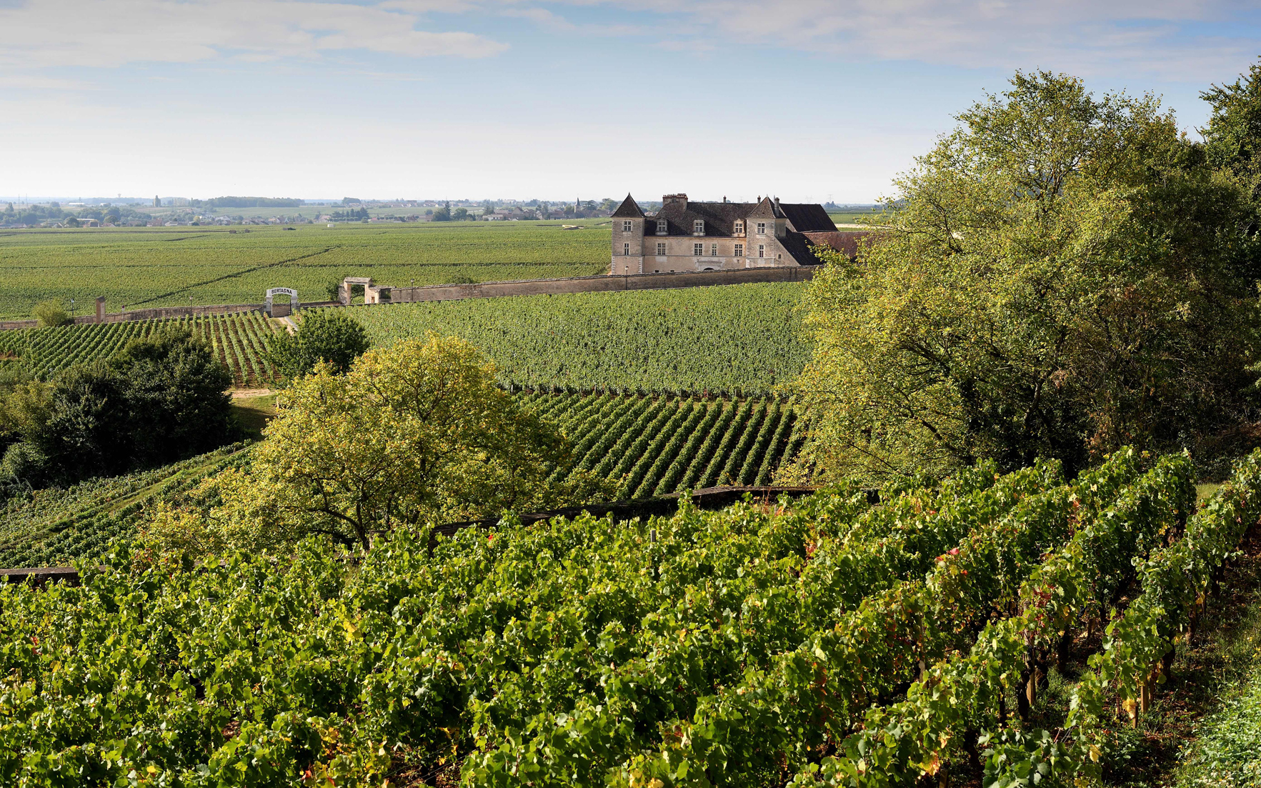 Vinyards of the Georges Roumier winery, Chambolle-Musigny, Burgundy, France, 2017. Photograph by Eric FeferbergAFP via Getty Images