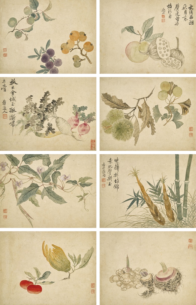 清 恽寿平，《花果册》，设色纸本 册页八开，每页25.3 x 32.8公分（10 x 12 ⅞ 吋）。估价：3,000,000-5,000,000港元。将于2020年12月2日佳士得香港中国古代书画拍卖中呈献