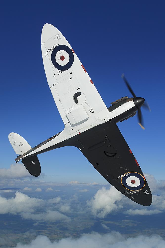 P9374 showing off her underbelly and the distinctive black and white scheme 